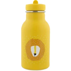 Insulated Water Bottle