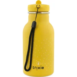 Insulated Water Bottle