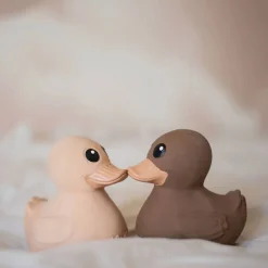 Kawan Mini Rubber Duck