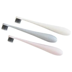 Kids Wheat Straw Toothbrush