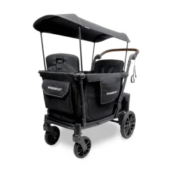 L2 Double Stroller Wagon