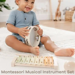 Musical Toy Instrument (Set)