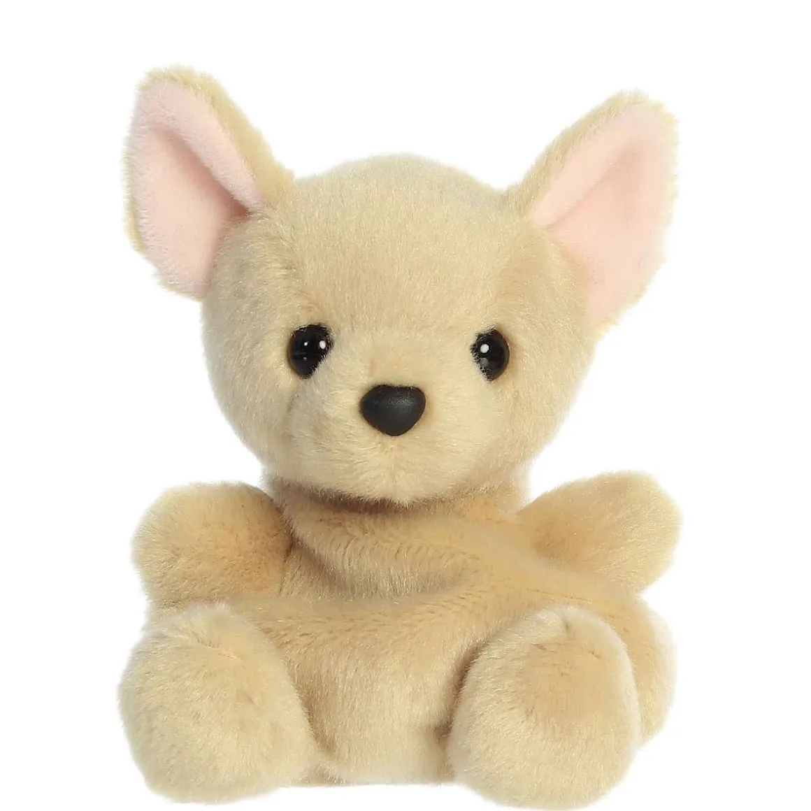 Palm Pals - Cookie Chihuahua