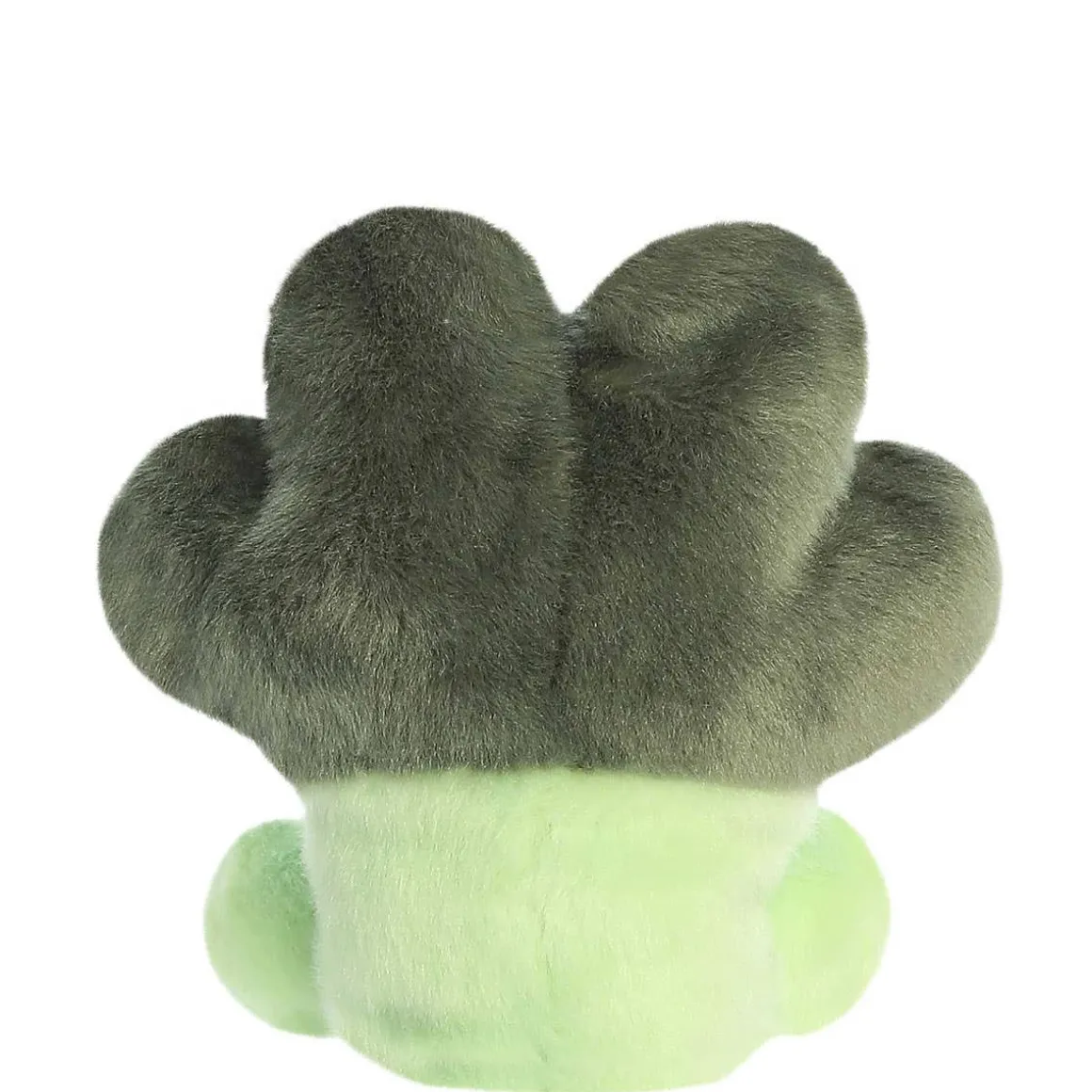 Palm Pals - Luigi Broccoli