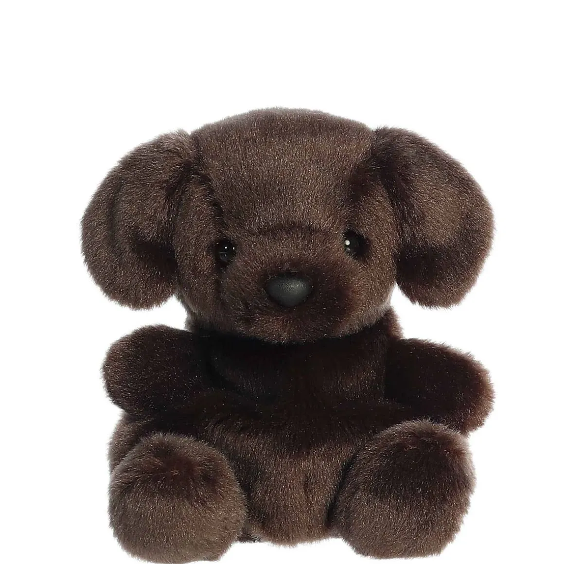 Palm Pals - Sienna Chocolate Lab