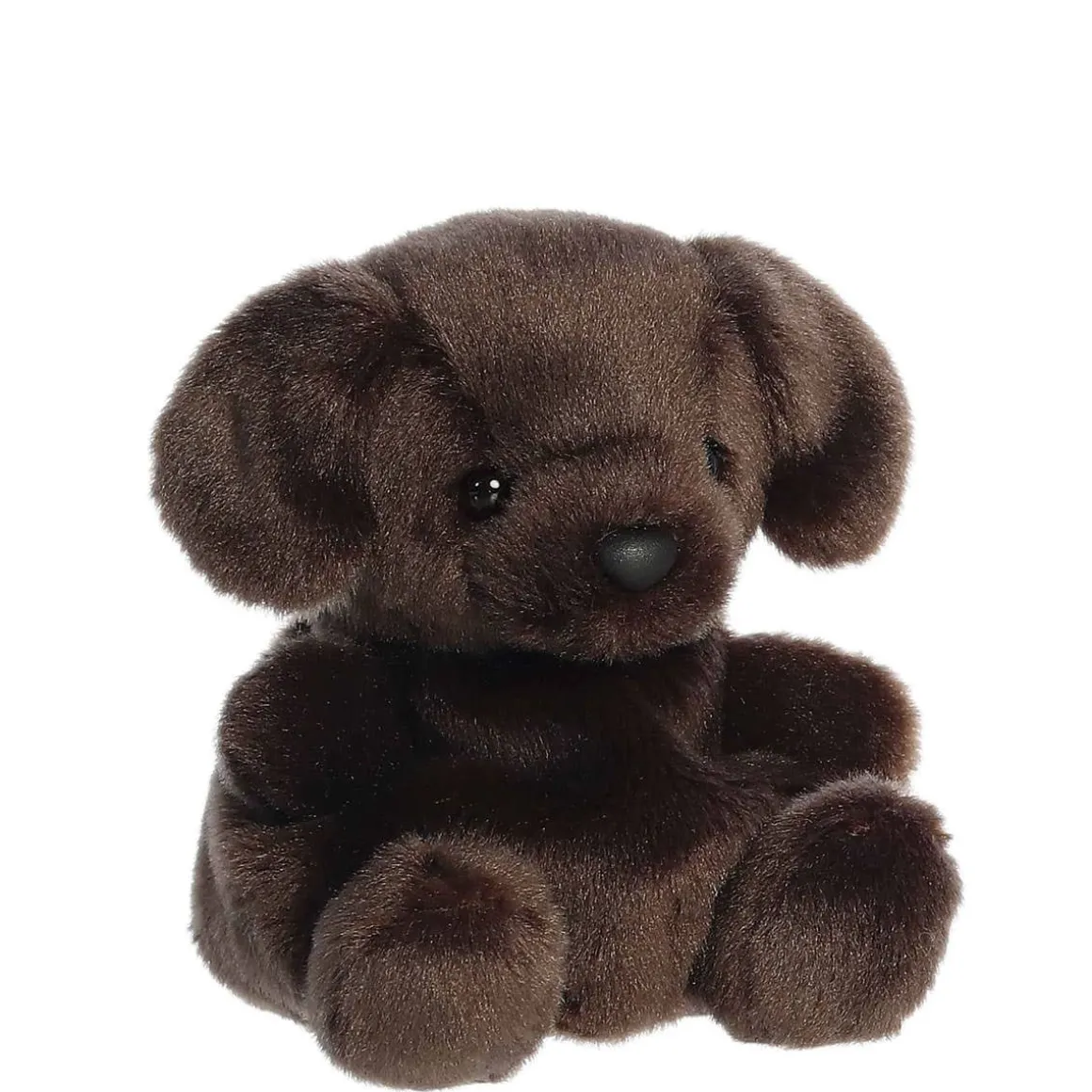 Palm Pals - Sienna Chocolate Lab