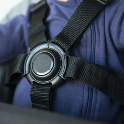 Perch Chair (Black Frame)