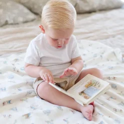 Peter Rabbit Blanket