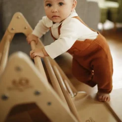 Pikler Medium Triangle