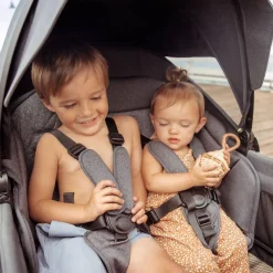 Retractable Canopy XL