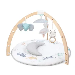 Rising Star Play + Discover Activity Gym