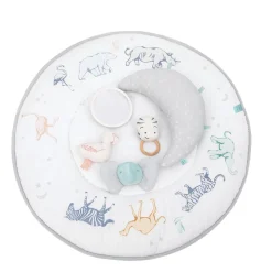 Rising Star Play + Discover Activity Gym