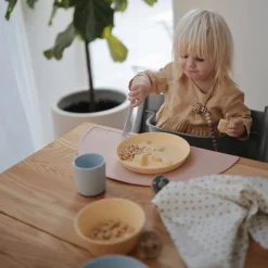 Round Dinnerware Plates (2 Pack)