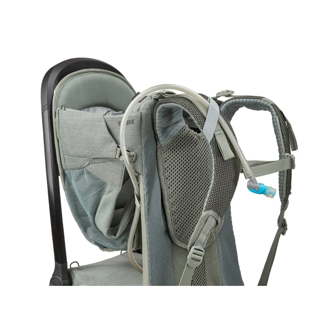 Sapling Child Carrier