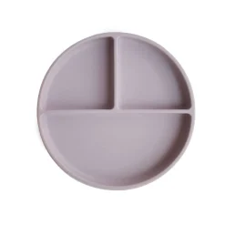 Silicone Suction Plate