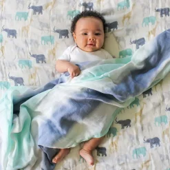 Silky Soft Dream Blanket