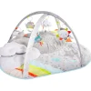 Silver Lining Cloud Activity Gym