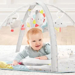 Silver Lining Cloud Activity Gym
