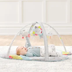 Silver Lining Cloud Activity Gym