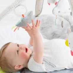 Silver Lining Cloud Activity Gym