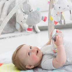 Silver Lining Cloud Activity Gym