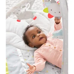 Silver Lining Cloud Activity Gym