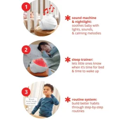 Snail It Routine Machine Colorway