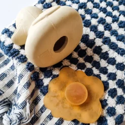 Squeeze 'N' Splash Bath Toy (Rubberduck & Frog Gift Set)