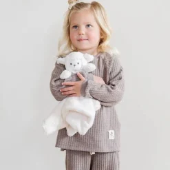 Stuffed Animal Lovey