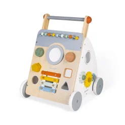 Sweet Cocoon Multi-Activity Baby Walker