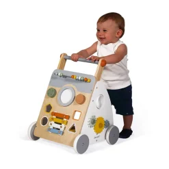 Sweet Cocoon Multi-Activity Baby Walker