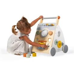 Sweet Cocoon Multi-Activity Baby Walker