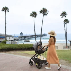 Switchback Car Seat Adapter