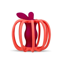 Teether & Rattle Toy