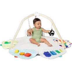The Play Gym
