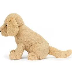 Tilly Golden Retriever