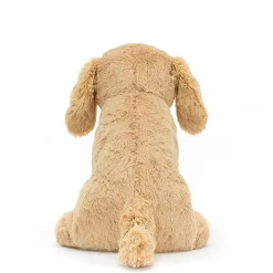 Tilly Golden Retriever