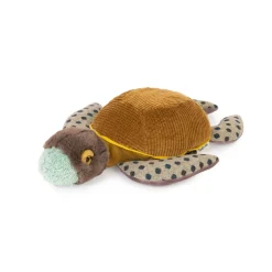 Tout Autour Du Monde - Turtle Small