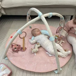 Unicorn Developmental Gymini