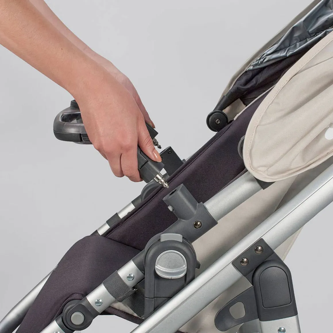 Vista/Cruz Snack Tray