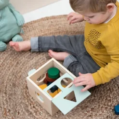 Wooden Shape Sorter