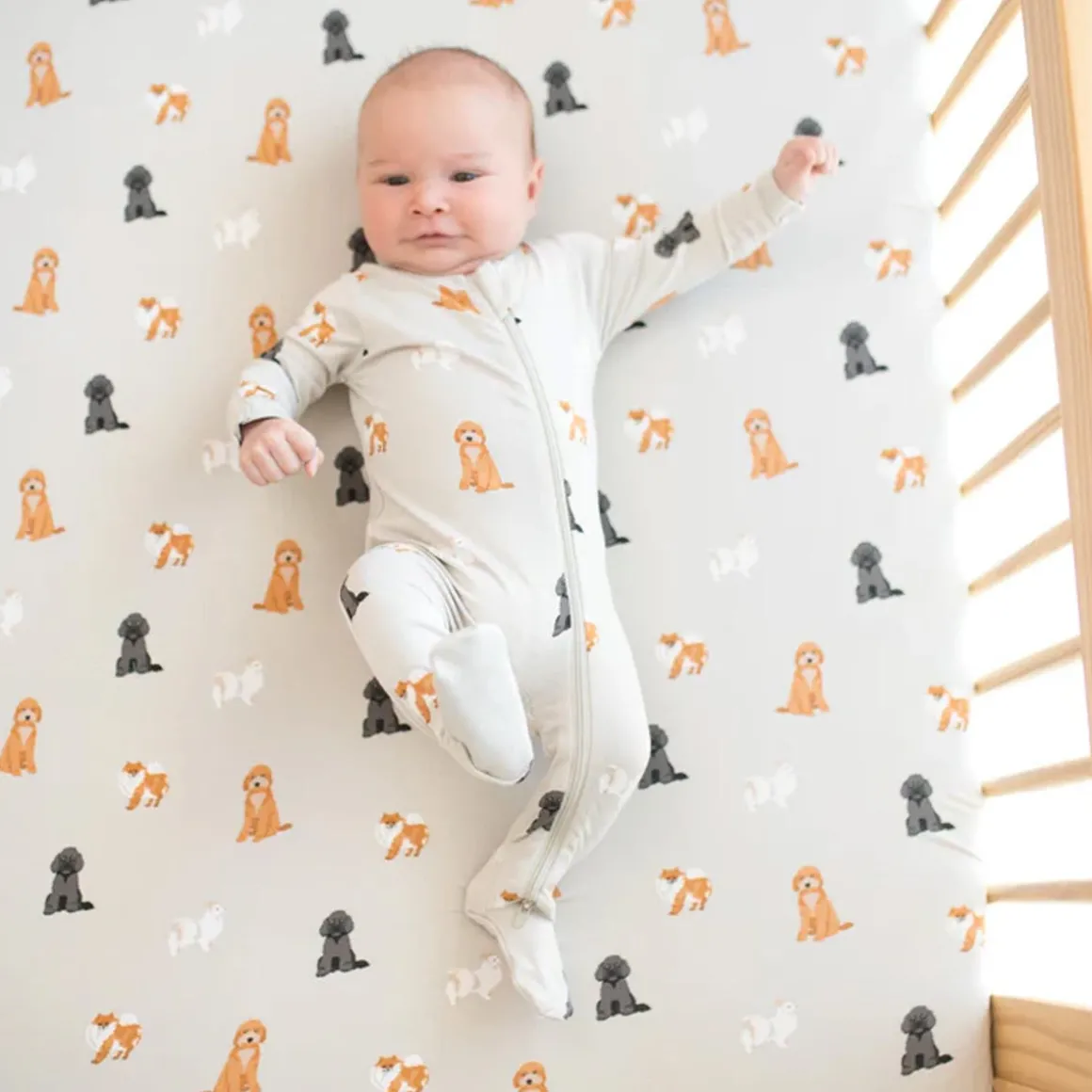 Zippered Footie (Print)